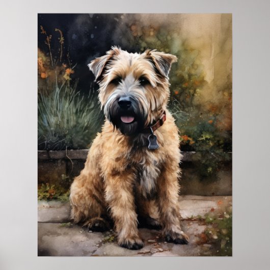 Zacht gecoate tarwehond Art Print Poster (Voorkant)