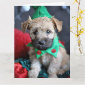 Zacht gecoate Wheaten Terrier Elf Kaart (Gele Bloem)