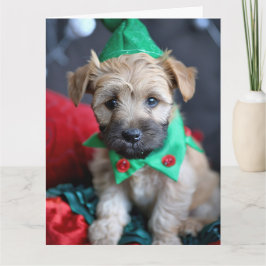 Zacht gecoate Wheaten Terrier Elf Kaart
