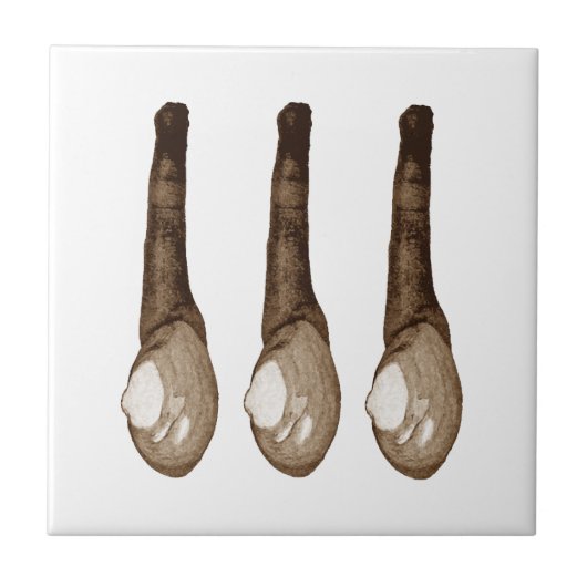 Zacht-gepelde lammeren tegeltje (Voorkant)