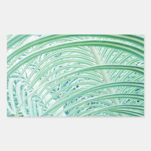 Zacht groen Plant Palm Leaf Rechthoekige Sticker