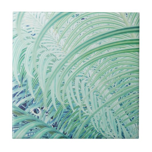 Zacht groen Plant palm leest pasta Tegeltje (Voorkant)