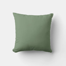 Zacht groene effen kleur, eenvoudig, modern, trend kussen