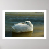 Zacht in wit poster (Voorkant)