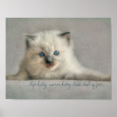 Zacht kat, Ragdoll kitten poster (Voorkant)