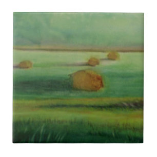 Zacht-morgen-lichtuur in het veld tegeltje