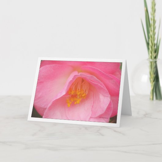 Zacht nam camelia toe kaart (Voorkant)