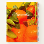 Zacht Oranje vruchtensap Notitieboek (Achterkant)