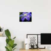 Zacht Paarse "Clematis Flower" Poster (Thuiskantoor)