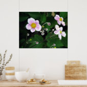 zacht poster (Keuken)