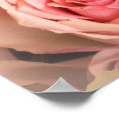 Zacht Roos Blush Poster (Hoek)
