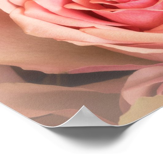 Zacht Roos Blush Poster (Hoek)