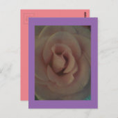 Zacht Roos Briefkaart (Voorkant / Achterkant)