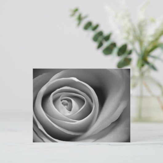 Zacht Roos Center - Zwarte en witte foto Briefkaart (Staand voorkant)
