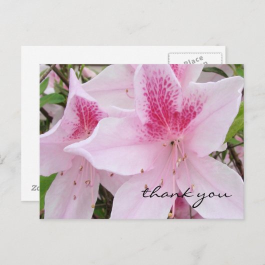 Zacht roze azalea's - Dank u Briefkaart (Voorkant / Achterkant)