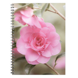 Zacht Roze Camellia Flower Notitieboek