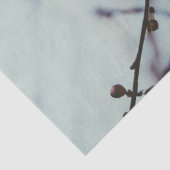 Zacht roze Cherry Blossom Tissue Paper Tissuepapier (Detail)