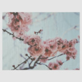 Zacht roze Cherry Blossom Tissue Paper Tissuepapier (Voorkant)
