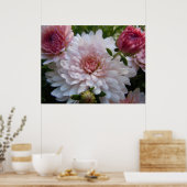 Zacht roze chrysanthemum poster (Keuken)