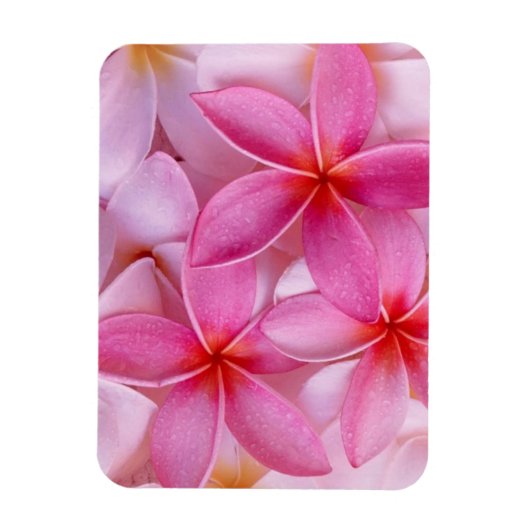 Zacht roze Floral Magneet (Verticaal)