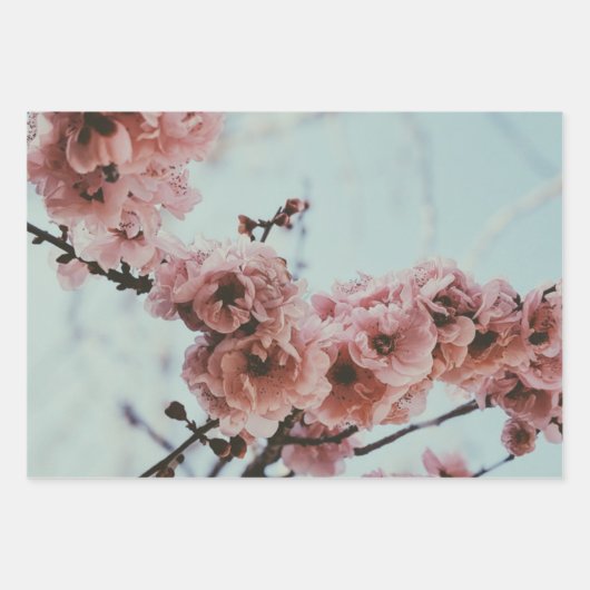 Zacht roze kersenbloesem inpakpapier (Voorkant 3)