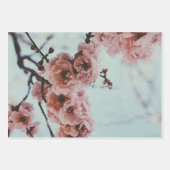 Zacht roze kersenbloesem inpakpapier (Voorkant 2)