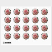 Zacht Roze Romantisch Roos Sticker (Vel)