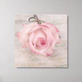 Zacht roze roze ventilator canvas afdruk
