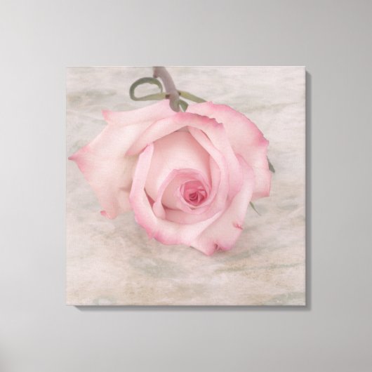 Zacht roze roze ventilator canvas afdruk (Voorkant)