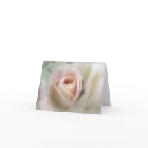 Zacht Roze Roze Wenskaart