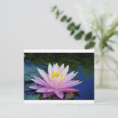 Zacht roze waterlily briefkaart (Staand voorkant)