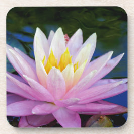 Zacht roze waterlily onderzetter