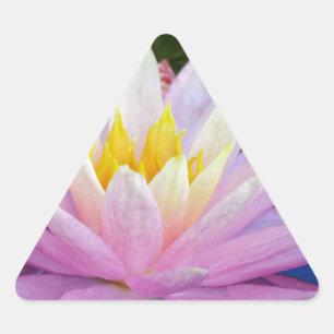 Zacht roze waterlily sticker