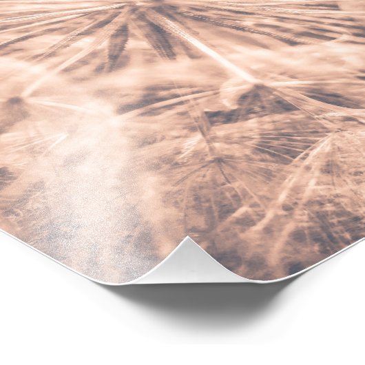 Zacht sproeier Roze andelion Blowball 4 Foto Afdruk (Hoek)