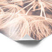 Zacht sproeier Roze andelion Blowball 6 Foto Afdruk (Hoek)