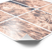 Zacht sproeier Roze Dandelion Blowball Square Foto Afdruk (Hoek)