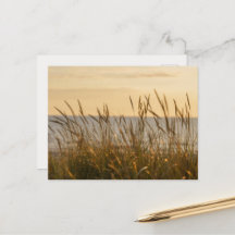 Zacht strandgras, opbeurende lichtboodschap