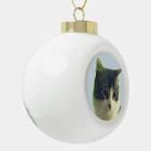 Zacht Tabby Kattengezicht Keramische Bal Ornament (Links)