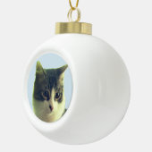 Zacht Tabby Kattengezicht Keramische Bal Ornament (Rechts)