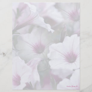 Zacht wit en roze petunias letterhead
