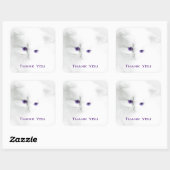 Zacht wit kitten met Paarse ogen Dank u Vierkante Sticker (Vel)