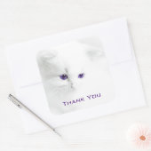 Zacht wit kitten met Paarse ogen Dank u Vierkante Sticker (Envelop)