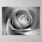 Zacht wit, S Cyr Poster (Voorkant)