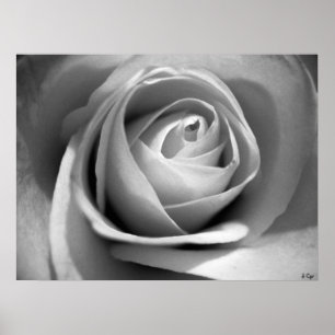 Zacht wit, S Cyr Poster