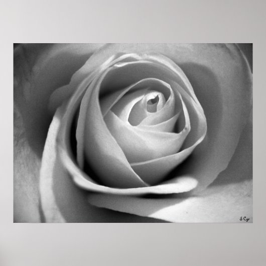 Zacht wit, S Cyr Poster (Voorkant)