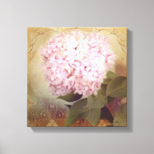 Zacht Zomer 2  Roze Hydrangea Blossom Canvas Afdruk