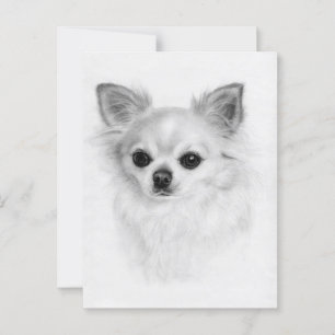 Zachtaar Blik - Met de Hand Geschilderde Chihuahua Briefkaart