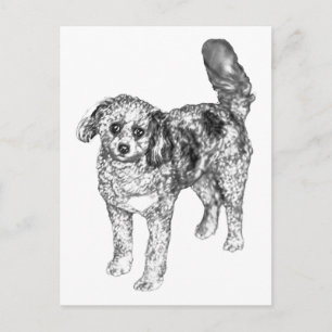 Zachtaar hondje deelt feestelijke wintervreugde briefkaart