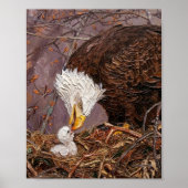 Zachtaardige Patriottische Adelaar en Jong Kunst Poster (Voorkant)