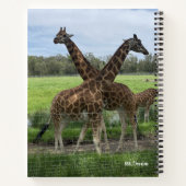 Zachte, aardse kleuren, giraffenpatronen - Notitie Notitieboek (Achterkant)